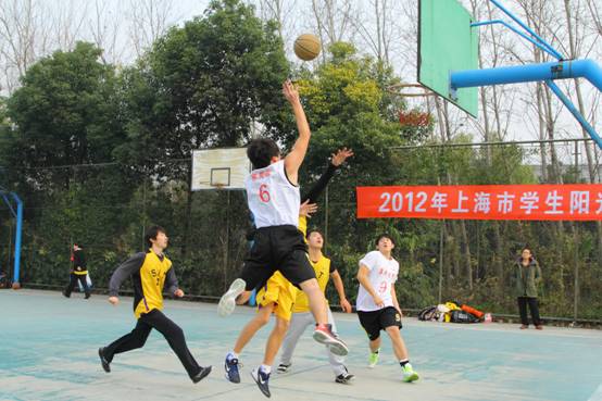 833体育APP下载图片