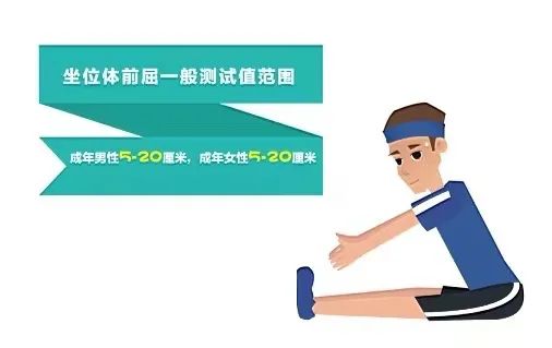 833体育APP下载
