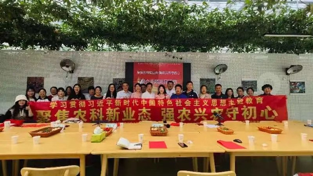 833体育APP下载