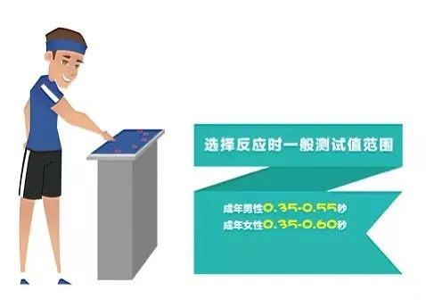 833体育赛事快讯