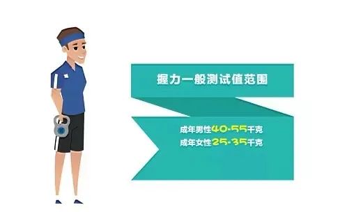 833体育官方指定端