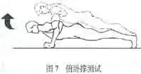 833体育官方指定端